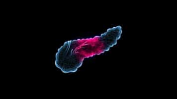 I had to make a decision to cut my body. My life was MBMD